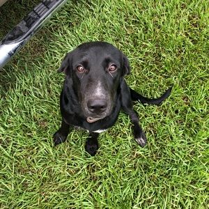 Meet your Posher, Ashlee